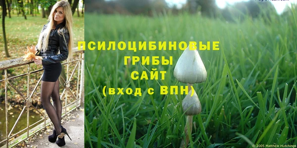 мяу мяу кристалл Костерёво